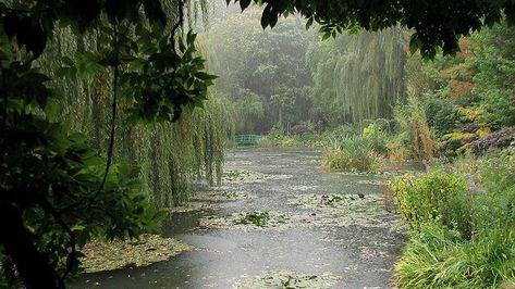 Monet Garden Giverny, Lily Garden, Nature Aesthetic, Water Lilies, Pretty Places, Green Aesthetic, Mother Earth, Pretty Pictures, Happy Places