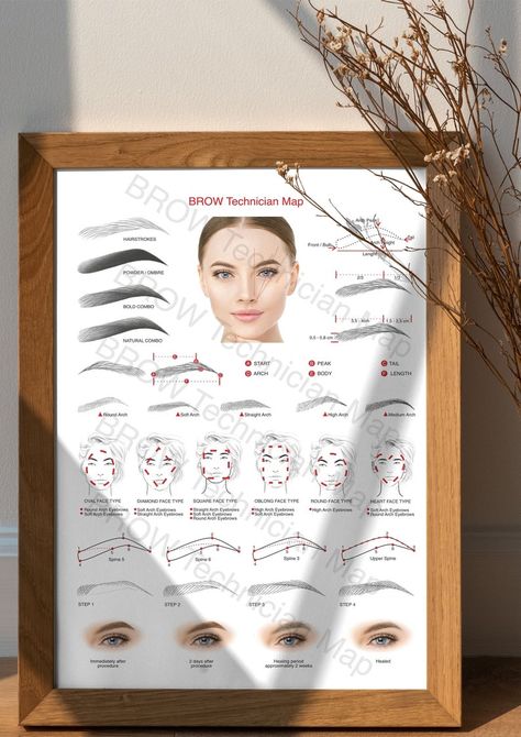 Digital Eyebrows Technician Guide Sheet / for Microblading / Henna / Ombre Eyebrows - Etsy Australia High Arch Eyebrows, Microblading Eyebrows Training, Eyebrow Guide, Ombre Eyebrows, Brows Microblading, Best Eyebrow Makeup, Brow Care, Arched Eyebrows, Skin Aesthetics