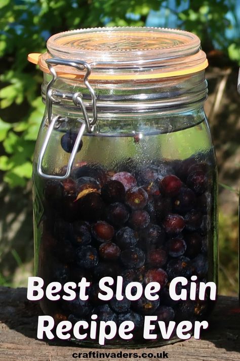 Every year we forage for sloes berries to make sloe gin. In this post, we will show you how to identify sloes, when to pick them and share with you our best sloe gin recipe ever. Sloe Berries Recipes, Sloe Berry Recipes, Sloe Gin Recipe, Homemade Booze, Cornflake Tart, Gin Recipe, Sloe Berries, Fodmap Friendly Recipes, Homemade Alcohol