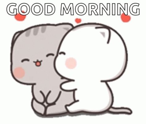 Chibi Cat Gif, Cat Kiss, Cute Good Morning Gif, Mochi Cat, Morning Kiss, Good Morning Cat, Good Morning Kisses, Good Morning Love Gif, Happy Quotes Smile