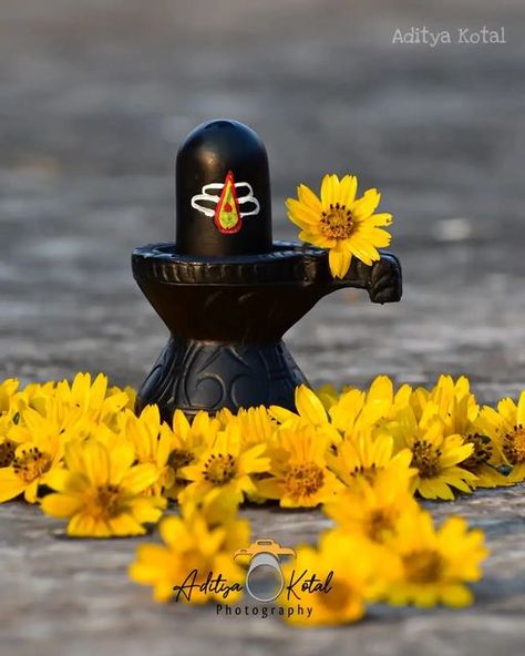 Shivalingam Wallpaper Hd, Shivudu God Photos, Lord Shiva Dp, Sivan Lord, Shivling Images, Lord Shiva Images, Shivratri Wallpaper, Flowers Dp, Mahadev Shiva