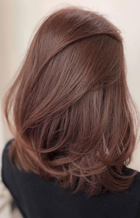 Not So Short Haircuts, Hair Color Ideas For Medium Hair, Brown Short Hair Colors, Hair Color Ideas For Round Faces, Medium Light Brown Hair Color Ideas, Rose Tea Brown Hair Color, Short Hair Color Brown, Rose Tea Brown Hair, Light Coffee Hair Color