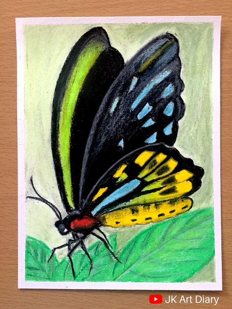 Butterfly scenery drawing using oil pastels || oil pastels drawing Butterfly Scenery Drawing, Oil Pastel Shading, Oil Pastel Butterfly, Butterfly Shading, Step By Step Oil Pastel, Oil Pastels Easy, Scenery Oil Pastel, Oil Pastels Drawings, Butterfly Scenery