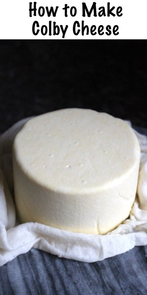 Cheese Recipes Homemade, Cheese Making Recipes, Goat Milk Recipes, Baked Goat Cheese, Diy Cheese, Colby Cheese, Homemade Cheese, No Dairy Recipes, Cheese Recipe