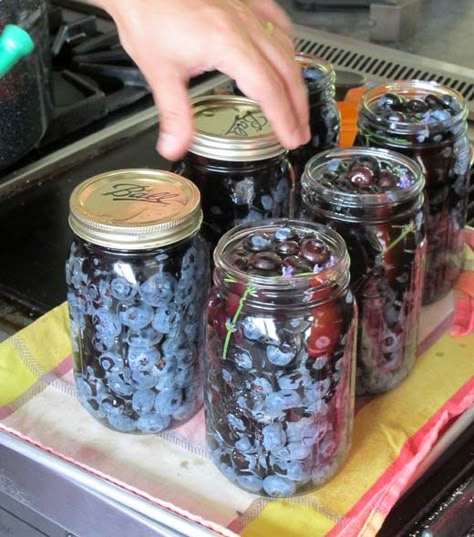 Canning Blueberries, Maine Blueberries, French Vanilla Creamer, Canned Blueberries, Canning 101, Canning Jams, Canning Fruit, Canned Food Storage, Canning Tips