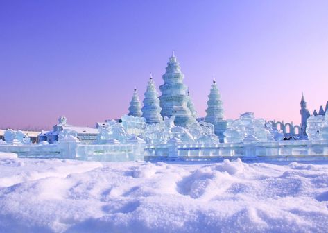 Ice Lanterns, Up Helly Aa, Festivals In China, Ice Festival, Snow Festival, Ice Hotel, Hot Air Balloon Festival, Ice Sculpture, Festival Image