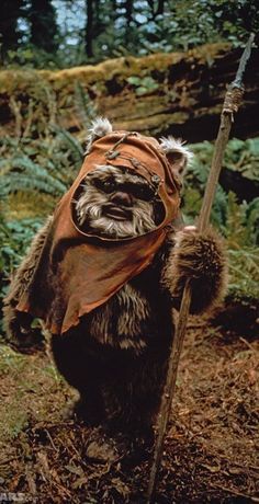 Imagenes figuras para fieltar Star Wars Christmas Card, Toddler Halloween Costume Ideas, Brussels Griffin, Ewoks Star Wars, Star Wars Ewok, Toddler Halloween Costume, Crystal Costume, Fire Sprinklers, Fire Alarms