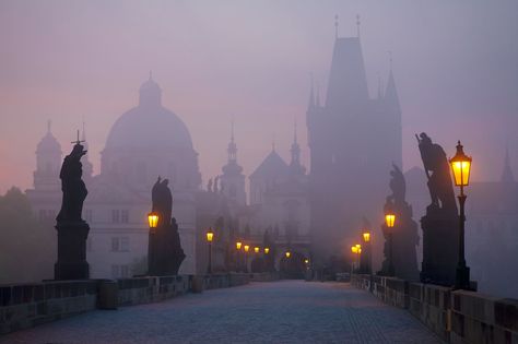 Fog in Prague Prague Charles Bridge, Charles Bridge Prague, Charles Bridge, Prague Travel, Street Lights, Ulsan, Prague Czech Republic, Prague Czech, The Fog