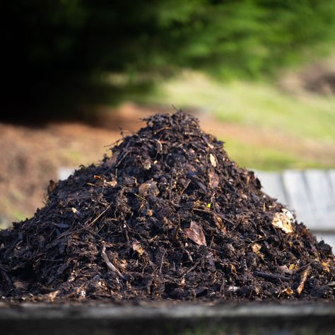 With just 4 simple tips, you can build the perfect spring compost pile that will heat up and produce finished compost fast! Compost Starter, Compost Mulch, Natural Insecticide, Compost Pile, How To Make Compost, Compost Soil, Acid Loving Plants, Hosta Plants, Organic Compost