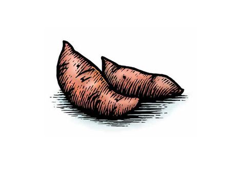 Sweet Potatoes Sweet Potato Tattoo, Potato Tattoo, Maple Leaf Tattoo, Sweet Potato, Tattoos And Piercings, Pen And Ink, Piercings, Modern Art, Abstract Artwork