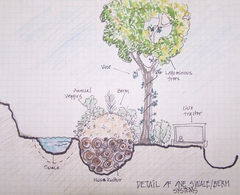 Details of One Swale/Berm System: Permaculture Permaculture Design Course, Water Drain, Permaculture Gardening, Permaculture Design, Rainwater Harvesting, Edible Landscaping, Dry Creek, Food Forest, Forest Garden