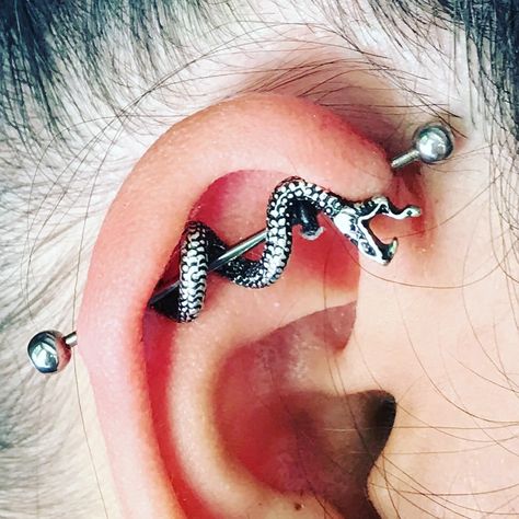 Gothic Industrial Piercing, Industrial Piercing Snake, Cool Industrial Piercing Jewelry, Scapha Piercing, Bar Ear Piercing, Wrap Around Snake, Industrial Bar Piercing, Ear Piercings Industrial, Ear Ideas