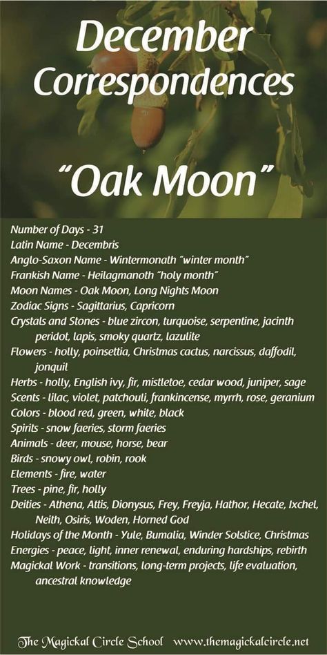 Monthly Correspondences, December Moon, December Full Moon, Full Moon Names, Lunar Witch, Moon Zodiac, Moon Meaning, Moon Names, Moon Magick