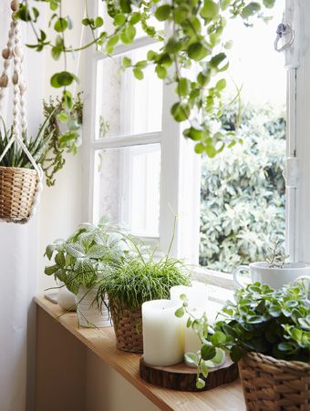 Give your room a new view Window Ledge Decor, Ledge Decor, Kitchen Bay Window, Window Sill Decor, Window Garden, Plant Window, Window Plants, Window Ledge, Indoor Window