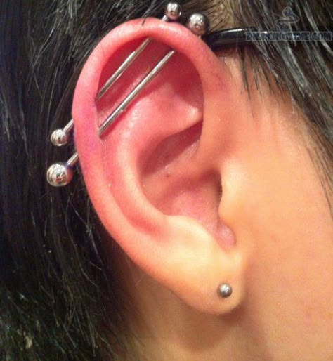 double industrial piercing Men Industrial Piercing, Industrial Piercing Men, Double Industrial Piercing, Ear Piercing Diagram, Ranger Tattoo, Ear Piercing For Women, Industrial Piercing Barbells, Piercing Men, Gauge Plugs