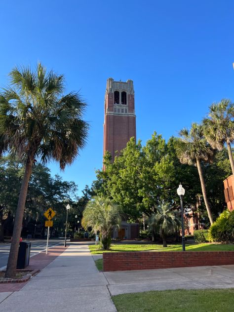 University Of Florida Campus, Gainesville Florida Aesthetic, Florida University Aesthetic, University Of Florida Aesthetic, Uf Aesthetic, Fsu Vs Uf, Boston Bedroom, Uf Dorm, Pray Board