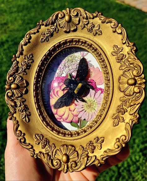 Fuzzy bees are the best! 🐝 Cute little Carpenter Bee surrounded by pressed flowers in a tiny ornate vintage frame. . . . #pinnedinsects #bees #beeart #vintagestyle #vintageframes #insecttaxidermy #entomologyart #insectart #moodydecor #darkacademia #driedflowers #vultureculture #victoriandecor #cottagecore #witchvibes Entomology Art, Insect Taxidermy, Carpenter Bee, Moody Decor, Vulture Culture, Victorian Decor, Insect Art, Bee Art, Vintage Frame