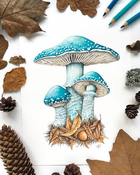 Awesome realistic mushrooms made with color pencils by Lucy. Find her on Instagram: Wild Fauna Art (@wildfaunaart) • Instagram photos and videos Fungi Illustration, Beautiful Pencil Drawings, Pencil Inspiration, Fungi Art, Mushroom Paint, Easy Drawing Steps, Mushroom Drawing, Mushroom Art, Color Pencil Art