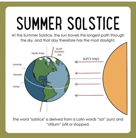 June Solstice, Winter Unit, Unit Studies, Latin Words, Summer Solstice, Study Unit, Summer Fun, Pie Chart