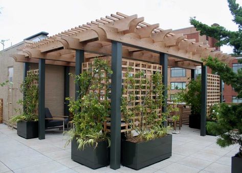 Deck And Fence Combo, Pergola Modern, Yard Inspiration, Fence Toppers, Modern Pergola, Pergola Design, Backyard Pergola, Outdoor Privacy, Patio Plants