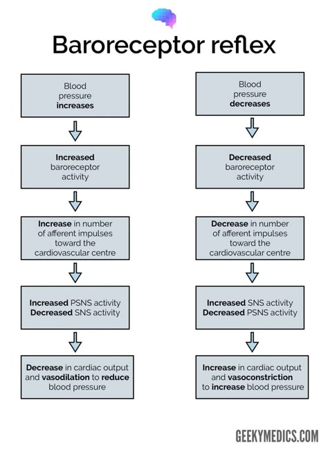 Regulation of Blood Pressure | Physiology | Geeky Medics Pathophysiology Nursing, Anatomy Flashcards, Medical Laboratory Technician, Medical Wallpaper, High School Life Hacks, Medical Student Study, Pulmonology, Biomedical Science, Nursing School Studying