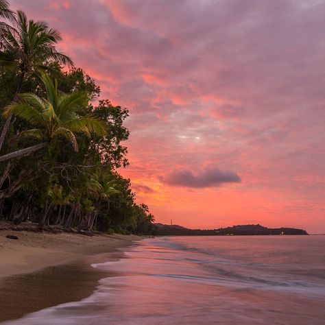 Palm Cove, Port Douglas, Insta Inspo, Come And See, Beautiful Photo, Good Things