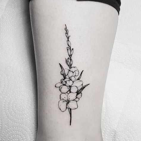 August Flower Tattoo Gladioli, Gladioli Flower Tattoo, Flower Strength Tattoo, Tattoo Gladiolus Flower, Flower Of Strength, Flower Meanings Tattoo, August Birth Flower Tattoo Gladioli, Gladiolus Tattoo Simple, Gladiolus Drawing