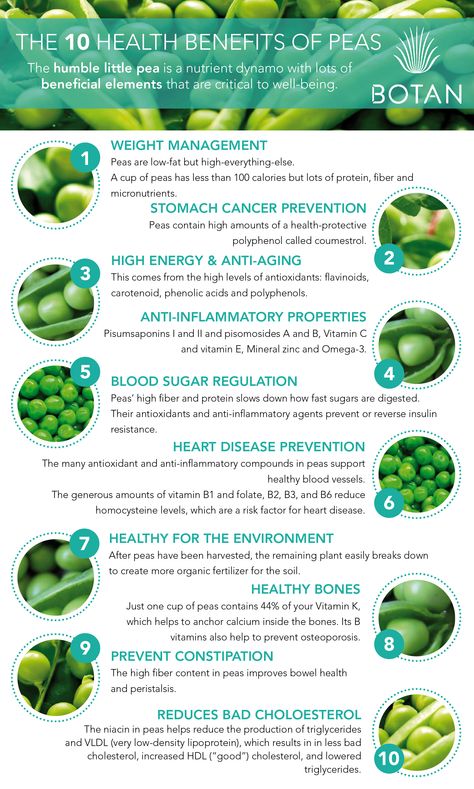 Experience the pea power with Botan! #healthybynature #health #nutrition #nutritionfacts #peas #veggies #greens #workout #infography   http://drinkbotan.com/ Snap Peas Benefits, Pea Protein Benefits, Health Benefits Of Peas, Peas Nutrition Facts, Peas Health Benefits, Green Peas Benefits, Benefits Of Peas, Nutritional Healing, Iron Absorption