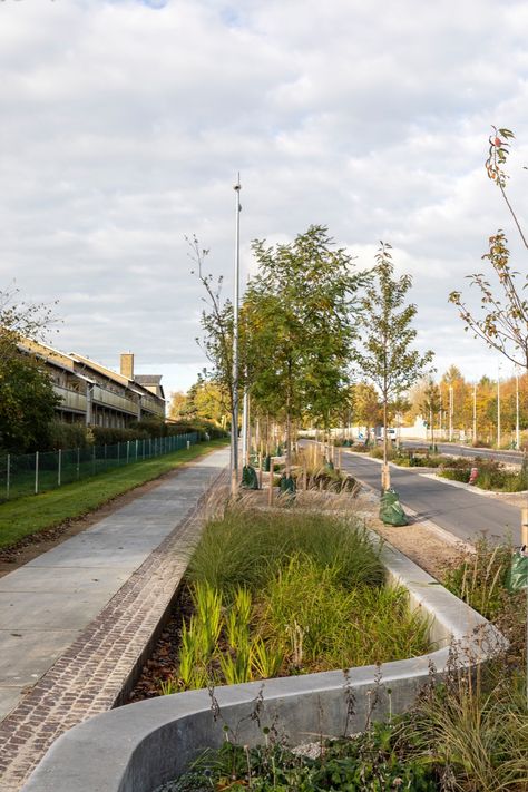 Ballerup Boulevard « Landezine International Landscape Award LILA Landscape Architecture Park, Streetscape Design, Linear Park, Public Space Design, Green Street, Landscape Architecture Design, Water Management, Rain Garden, Parking Design