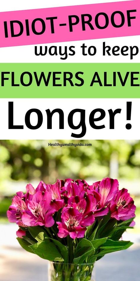 How To Prolong Flowers Life, How To Keep Bouquets Fresh, Keep Flowers Fresh Longer Vase, Fresh Flowers In Home, How To Keep Fresh Flowers Alive Longer, How To Keep Roses Alive Longer Vase, How To Keep Flowers Fresh Longer, Keep Roses Alive Longer, Real Flowers Bouquet