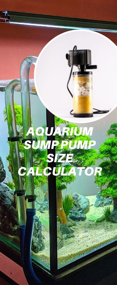 Sump pumps are a beneficial addition to saltwater aquariums. If you plan to get one, you will want to use an aquarium sump pump size calculator. This will help ensure that you get the right-sized sump pump for your fish tank. Aquarium Sump, Sump Tank, Saltwater Aquariums, Fish Tank Themes, Home Aquarium, Aquarium Filter, Sump Pump, Great Hobbies, Saltwater Aquarium