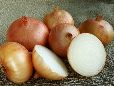 Granex - hybrid ONION, DRY BULB 3 g - 80 days. Similar to the "Vidalia" onion. Bulbs are large and thick, and noted for their exceptionally sweet flavor. Produces high yields and is resistant to pink root. Does especially well in the Mid-Atlantic and south. Widely adapted variety. Onion Bulbs, Stir Fry Dishes, Vidalia Onions, Fresh Market, Healing Food, Organic Seeds, Sweet Onion, Veggie Garden, Parma