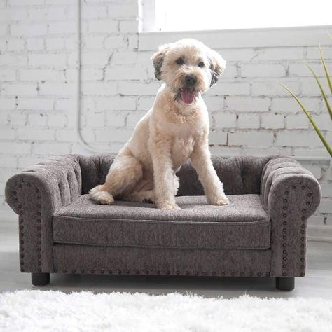 La-Z-Boy Newton Pet Sofa | Costco Chesterfield Style Sofa, Mini Couch, Boys Furniture, Dog Couch, Dog Sofa Bed, Pet Sofa, La Z Boy, Dog Bed Large, Dog Sofa