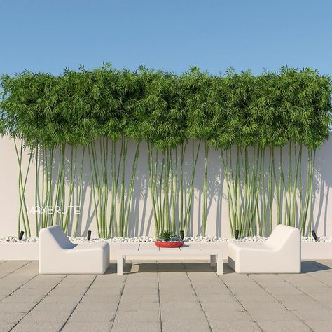 Bamboo Landscape, Modern Garden Landscaping, Side Yard Landscaping, Tropical Garden Design, Privacy Landscaping, Bamboo Garden, Bamboo Wall, Home Garden Design, Outdoor Garden Decor