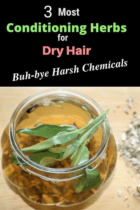 How to Condition Your Dry Hair With Herbs (Buh-bye Harsh Chemicals) - hair buddha Darken Hair Naturally, Herbal Hair Rinse, Growing Long Hair Faster, Herbs For Hair Growth, How To Darken Hair, Condition Hair, Herbs For Hair, Homemade Hair, Natural Conditioner