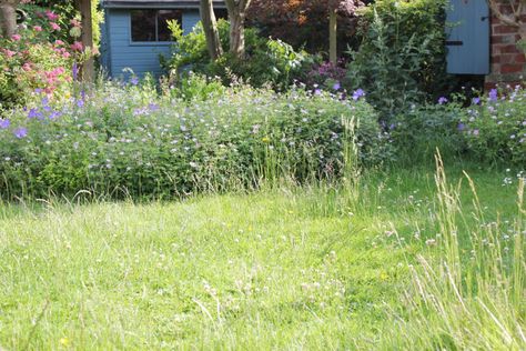 Wild Lawn, Bug Hotels, Lawn Borders, Bug Hotel, Garden Activities, Wildlife Garden, Back Yards, Attracting Bees, Wildlife Gardening