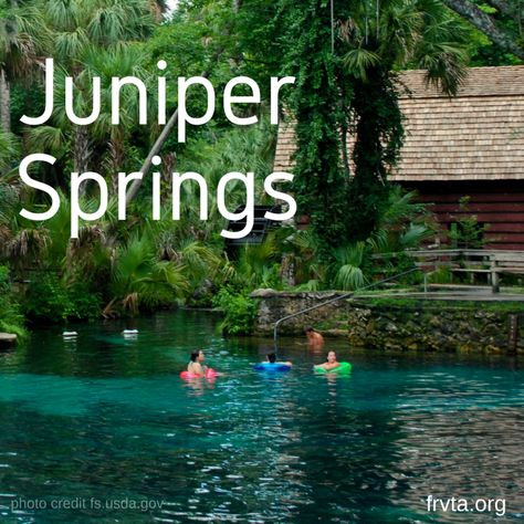 Juniper Springs Florida, Florida Kayaking, Florida Vacation Spots, Ocala National Forest, Glamper Camper, Travel Florida, Florida Life, Florida State Parks, Florida Springs