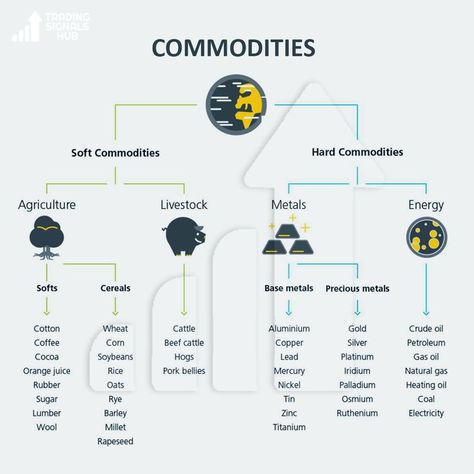 Types of commodities #forex #daytrader #trading#forexsignals #swingtrader#forexmentor #forextrade #daytrading#tradingtips #usd #learntotrade#forexlife #forextips #profit #usd#technicalanalysis #profit #besttradingsignals Trading Commodities, Commodity Trading, Jewelry Knowledge, Trade Finance, Study Flashcards, Marketing Process, Money Strategy, Beef Cattle, Finance Investing