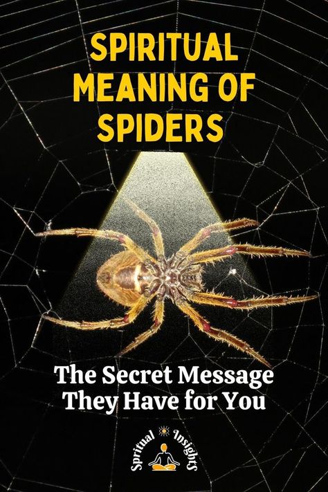 Spiritual Meaning of Spiders – The Secret Message They Have for You Seeing Spiders Meaning, Spider Spiritual Meaning, Spider Quotes, Home Meaning, Archangel Sandalphon, Night Meaning, Wolf Spider, Powerful Messages, Pet Spider