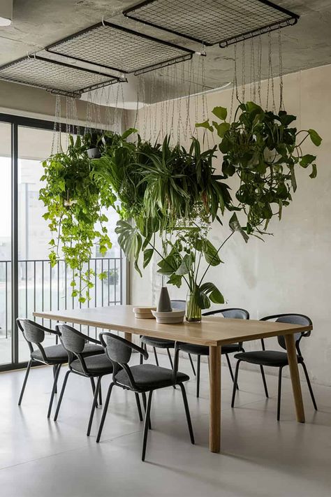 Hanging Plants Above Dining Table, Wall Plant Indoor Ideas, Dining Room With Plants Ideas, Plant Dining Room Aesthetic, Hanging Fake Plants Indoor, Hanging Plant Ideas Indoor, How To Hang Plants From Ceiling, Hanging Plants Indoor Ideas, Plant Wall Ideas Indoor