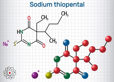 Table of ContentsWhat is sodium thiopental?How does Sodium Pentothal affect the body?How well does Sodium Pentothal work?ConclusionSuggested ReadingSodium thiopental or Sodium Pentothal is commonly known as truth serum. It is an anesthetic. It works by decreasing the metabolic activity of the brain, thereby making it hard to think and further, lie. But, does it actually guarantee the truth?As kids, we’re taught not to lie. We’re told that it is bad and that no one appreciates being l Eye Surgeon, Truth Serum, Interesting Science Facts, Lie Detector, Reading Help, Chemical Formula, Let It Out, Science Facts, Brain Activities