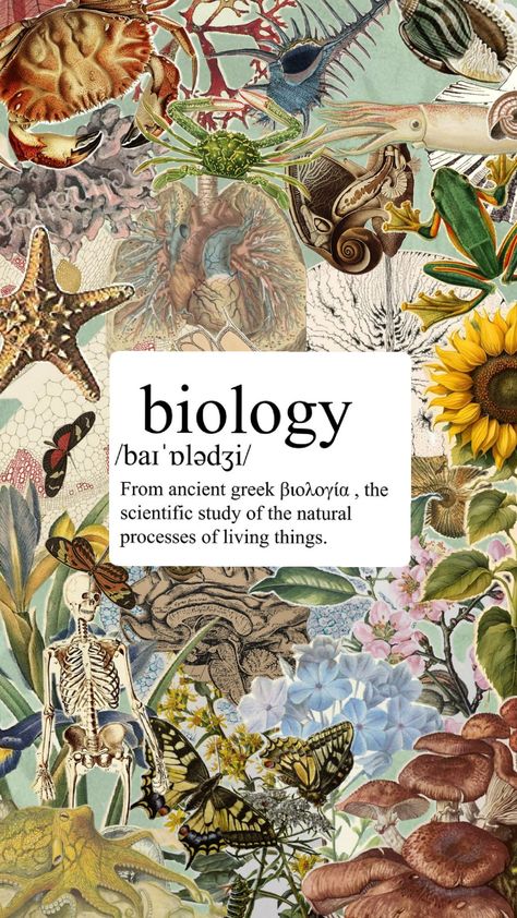 #biology #anatomy Aesthetic Biology Pictures, Gen Biology Design, Biology Laptop Wallpaper, Biology Journal Ideas, Biology Aesthetic Cover, Biology Title Page, Biology Book Cover, Natural Science Aesthetic, Biology Collage