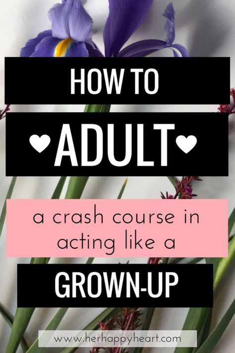 How to Adult: A Crash Course In Acting Like A Grown-Up | Adulting 101 | Tips for living | Life tips Adulting Hacks, Adulting 101, Education Humor, Warren Buffett, Life Improvement, Crash Course, Life Tips, Life Organization, Living Life