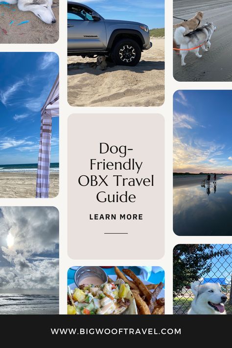 Get recommendations on dog-friendly beaches in the Outer Banks, plus our favorite spots to eat + drink! Woof Travel, Nc Travel, Dog Friendly Beach, Outer Banks Beach, South Carolina Beaches, Kitty Hawk, Outer Banks Nc, The Outer Banks, Outer Banks