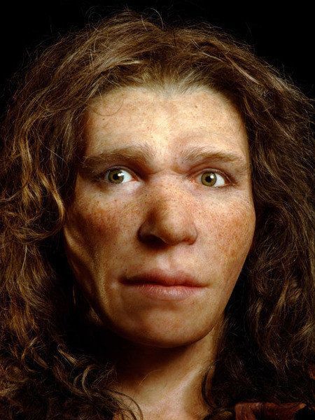 Brown Hair And Brown Eyes, Prehistoric Man, Early Humans, Human Evolution, Brown Hair Brown Eyes, Brown Eyed Girls, Human Species, Prehistoric Animals, Genetic