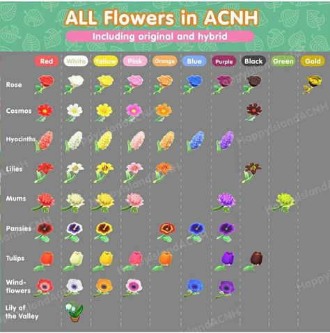 Flower Guide Acnh, Acnh Flower Types, Acnh Flower Chart, Breeding Flowers Animal Crossing, Acnh Hybrid Flowers, Acnh Flower Colors, All Flowers Animal Crossing, Acnh Hybrid Flower Chart, Acnh Flower List