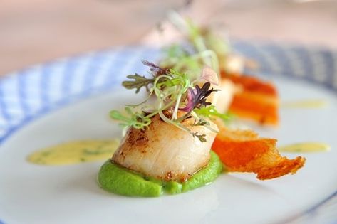 Appetizer Fine Dining, Valentines Meal, Scallop Appetizer, Scallops Recipes, Thanksgiving Dinner For Two, Pea Puree, Crispy Pancetta, Three Course Meal, Dinner Seafood