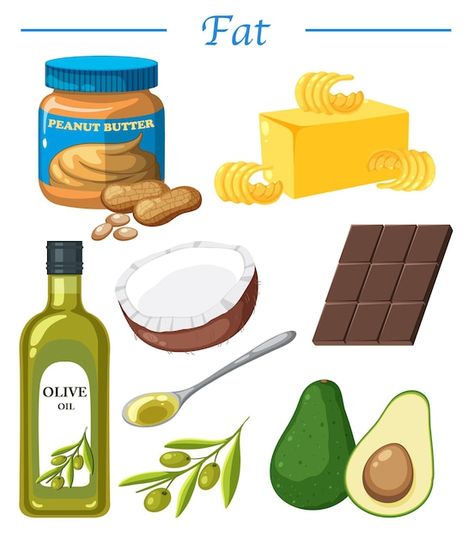 Fats Food Chart, Fats Food Pictures, Carbohydrates Food Drawing, Carbohydrates Food Pictures, Fat Foods List, Healthy Food Cartoon, Healthy Food Clipart, Cheese Cartoon, Carbohydrates Food List