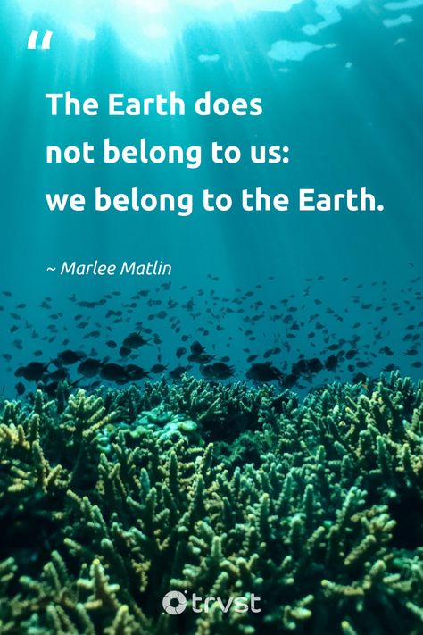 Quotes On Earth Day, Quotes For Earth Day, Quotes On Save Earth, Slogan About Mother Earth, Save The Planet Quotes, Quotes About Earth Nature, Quotes Related To Nature, Earth Day 2024, Quotes About Environment