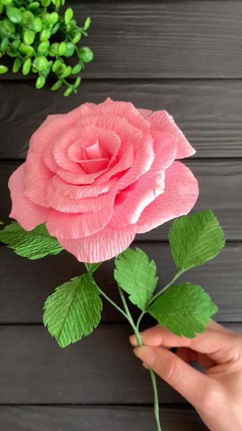 Beautiful Rose Paper Flower #diy #diycrafts #homedecor #paperflowers #papercrafts | Instagram Rose Paper Flower, Paper Flower Diy, Diy Wreath Bow, Rose Paper, Paper Craft Tutorials, Fondant Flowers, How To Make Paper Flowers, Flower Diy, Paper Flowers Diy